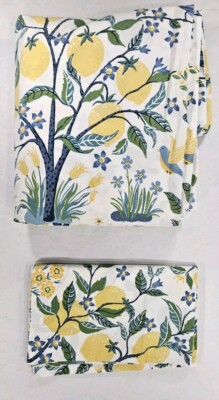 Pottery Barn Duvet Pillow Queen  Bird  Lemon Tree Summer Zip Cotton 92