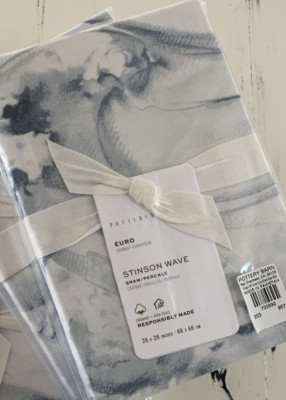 *Pottery Barn Stinson Wave  EURO Sham  Blue, Coastal, Beach qty: 1-image