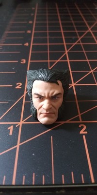 Marvel Legends Wolverine Head Sculpt Logan Only 6