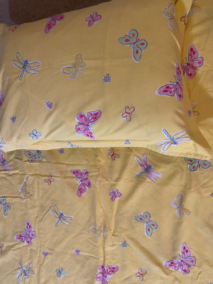 Pottery Barn Kids  Butterfly Full Queen Duvet Cover + 2 Sham-image