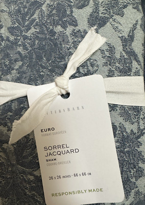 Sorrel Toile Jacquard . NWT POTTERY BARN Euro Sham-image