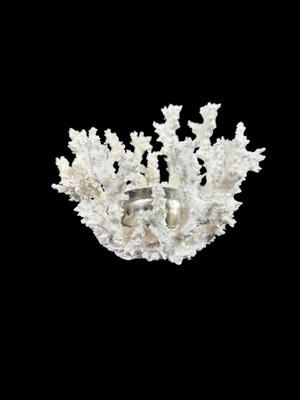 Pottery Barn Faux Coral White Pillar Candle Holders Beach Tropical-image