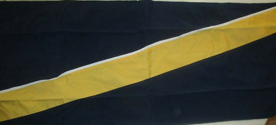 Pottery Barn Kids Leo Lumbar pillow cover 14 X 36  New -image