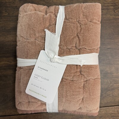 POTTERY BARN COZY CLOUD QUILTED PILLOW SHAM, STANDARD ~ ROSEWOOD-image