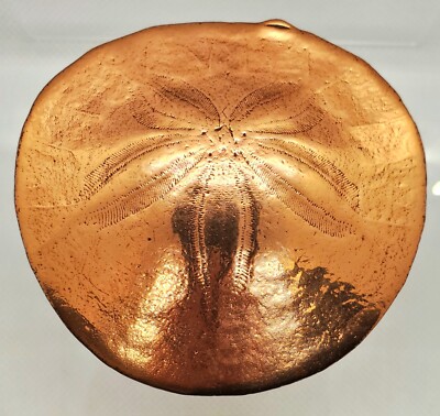 Vintage Large Sand Dollar Brooch Pin Dipped In Copper Beach-image