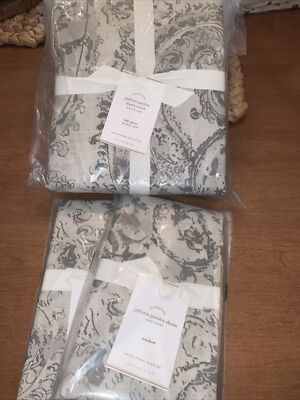 Pottery Barn Jaylinn Paisley F/Q Duvet W/2 Standard Shams -image