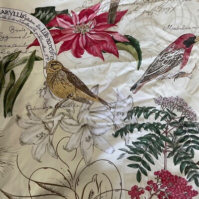 Rare! POTTERY BARN F/Queen Duvet Cover AMARYLLIS WINTER BIRDS Foliage/Floral-image