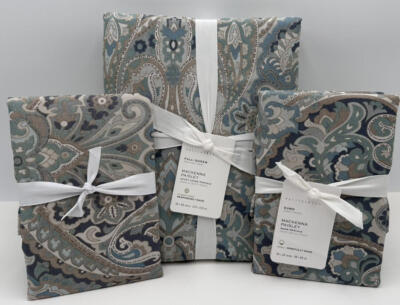 Pottery Barn Mackenna Paisley FULL / QUEEN Duvet Cover & 2 EURO Shams ~ Blue-image