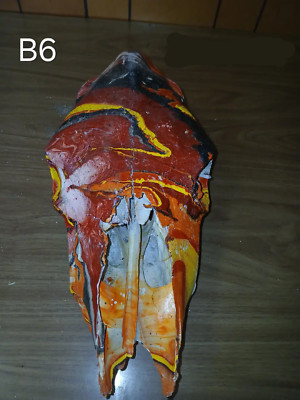 Authentic Hydro Dipped Cow Skull (B6)-image