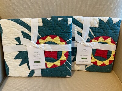 NEW Set of 2 Pottery Barn Maisie Hand Quilted Cotton EURO Sham Shams-image