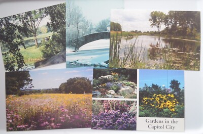 Lot of (5) Warner, Tenney, Edna, Owen, & Madison Park in Madison, WI Postcards-image