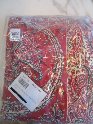 Pottery Barn Sweeney Paisley  quilted Euro sham  multi New-image