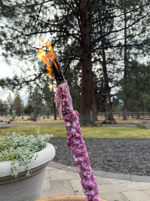 Giant Mullein Stalk Candle Torch-image