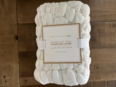 Pottery Barn Teen Cream Puff Microfiber Sham, Ivory, Standard-image