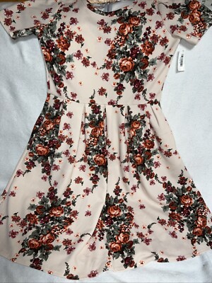 LuLaRoe Ivory Red Roses Dip Amelia Dress XL 18/20 16/18 Black Label Rare ❤️ New-image