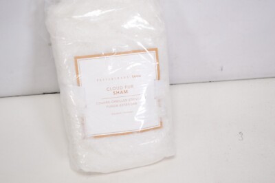 NEW Pottery Barn Teen Cloud Fur Standard Sham Ivory-image