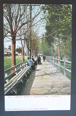 A Shady Walk in Madison Park Seattle WA Unposted UDB Postcard-image