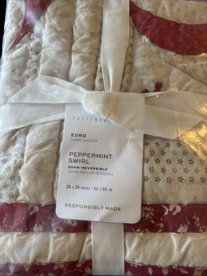 NEW Pottery Barn Peppermint Swirl Euro Sham 26x26