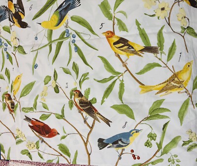 1 Pottery Barn SPRING SPARROW Birds STANDARD Sham Red Blue Brown Yellow-image