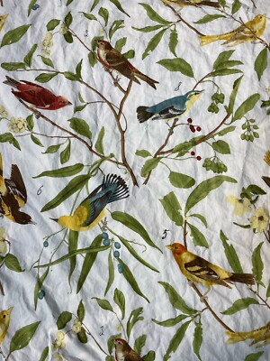 PAIR! POTTERY BARN *TWIN Duvet COVERS & PAIR Pillow SHAMS Spring SPARROW Birds-image