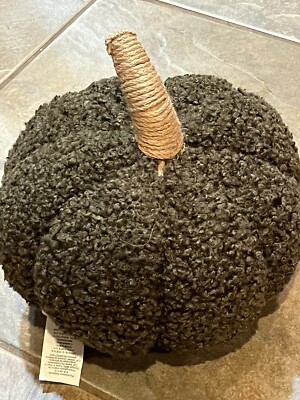 Pottery Barn Cozy Pumpkin Pillow Fall Thanksgiving 5 X 8 loden small  New wo tag-image