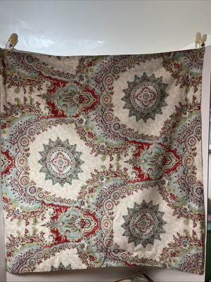 Pottery Barn Euro Shams  Paisley (2)  Cotton EC 28x30-image