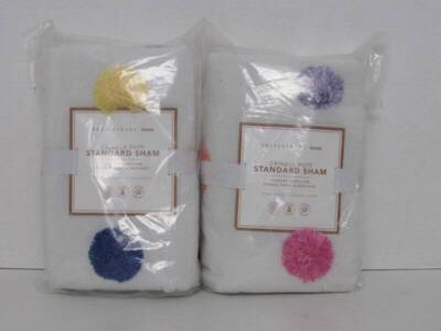 Pottery Barn Teen Crinkle Puff Shams Set of 2 Standard Shams Multi Color NWT-image