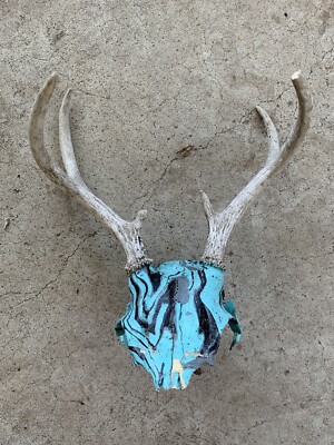 Hydro-dipped Deer Skull European Mount-image