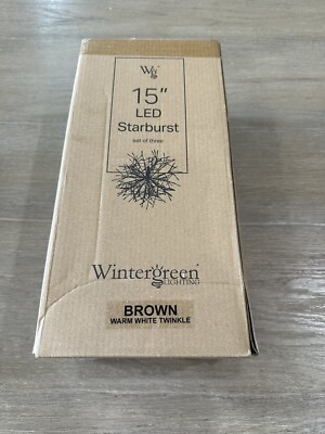 Pottery Barn Wintergreen starburst 15