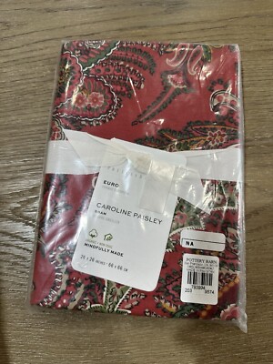 Pottery Barn Caroline Paisley Sham Euro ONE-image