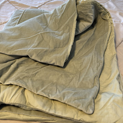 Pottery Barn Light Green Cotton Velour Velvet Full/Queen Duvet Cover-image