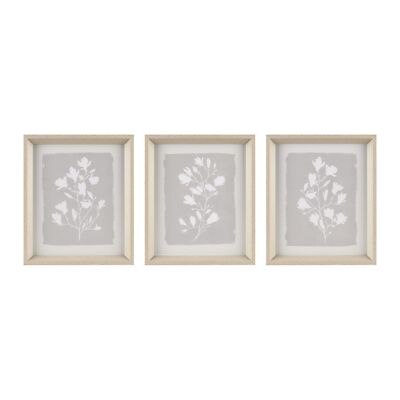 Madison Park 301725 Fair Florets Printed Framed Wall Art 3-Piece Set-image