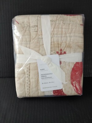 NEW Pottery Barn Peppermint Swirl Euro Sham 26x26