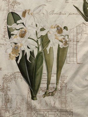 Pottery Barn Duvet Cover King Orchids Botanical French Country-image