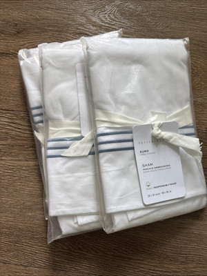 Pottery Barn Embroidered Euro Sham-image