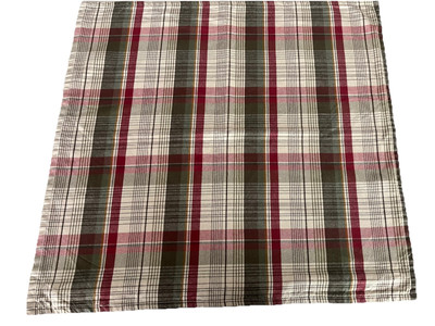 Pottery Barn Kirkwood Plaid 24