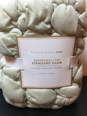 Pottery Barn Teen Marshmallow Jersey Quilted Standard Sham Sage Light Green NWT-image