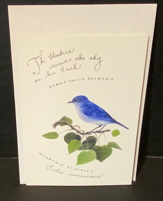Madison Park Greetings Blank Note Card The Bluebird Carries The Sky On His Back-image