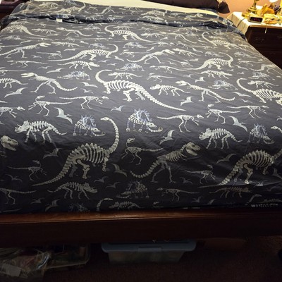 Pottery Barn Kids Dino Duvet Cover Bones Glow in the Dark Queen 88x90