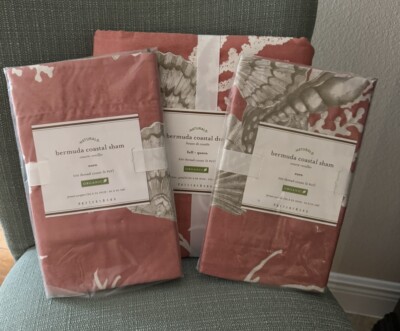 Pottery Barn ~BERMUDA COASTAL~ F/Queen DUVET & 2 Euro SHAMS ~SEASHELL~ STARFISH-image