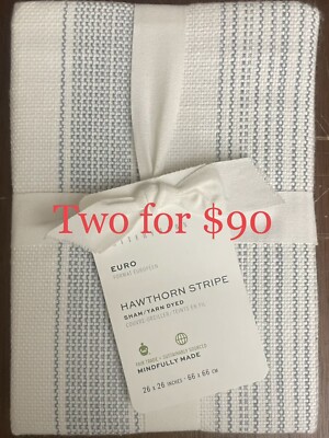 Pottery Barn Hawthorn Striped Cotton Sham 6784541 (Euro/Blue)-image