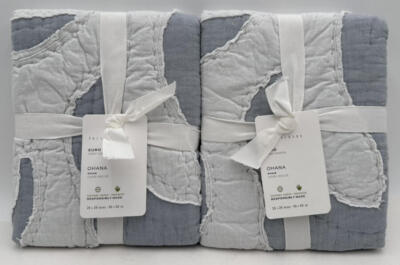 Pottery Barn Ohana Handcrafted Cotton Quilted EURO Shams (2) ~ Chambray Blue-image