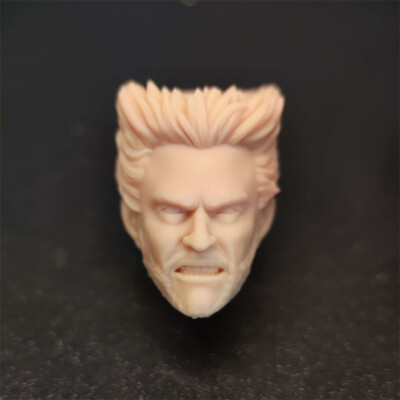 Blank 1/10 Scale Deadpool 3 Wolverine Head Sculpt Unpainted Fit 7