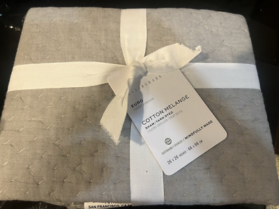 Pottery Barn cotton melange  Shams euro eucalyptus-image