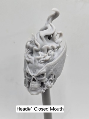 3d Print MUTANT MEN HELL LOGAN CLAWS HEAD#1 1:12 6