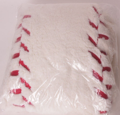 Pottery Barn PB Teen large 41