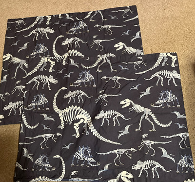 Pottery Barn Kids~Glow In The Dark~Dinosaur Bones Standard Pillow Shams~Set Of 2-image