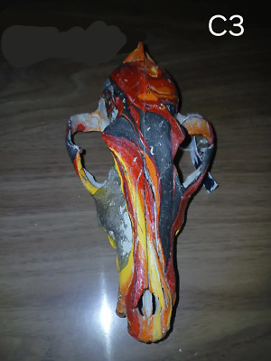 Authentic Hydro Dipped Coyote Skull (C3)-image