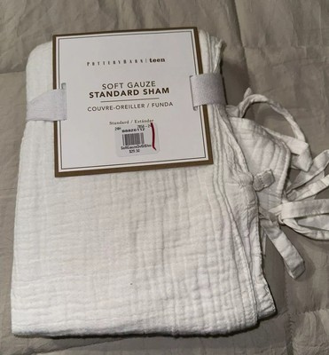 Twin Size Pottery Barn Teen Ivory Soft Gauze Duvet Cover & Standard Sham-image