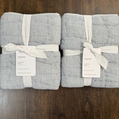 POTTERY BARN CLOUD HANDCRAFTED COTTON/LINEN QUILTED STANDARD SHAM SET 2~CHAMBRAY-image
